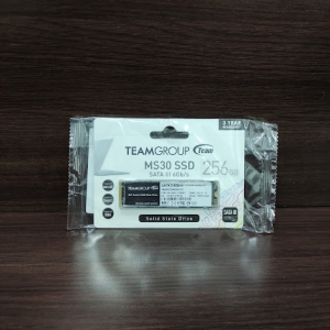 DISCO M2 MS30 SATA3 256 GB
